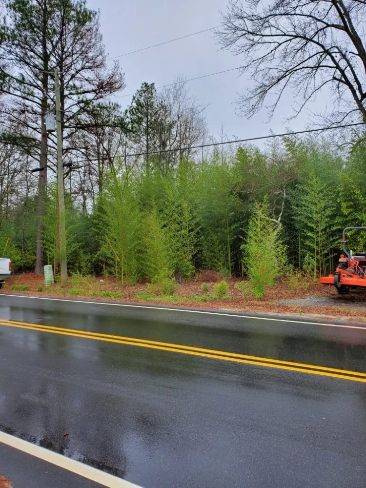 Professional lawn mowing service for year-round maintenance across Blythewood, SC - Muddy Paws Landscaping and Land Management