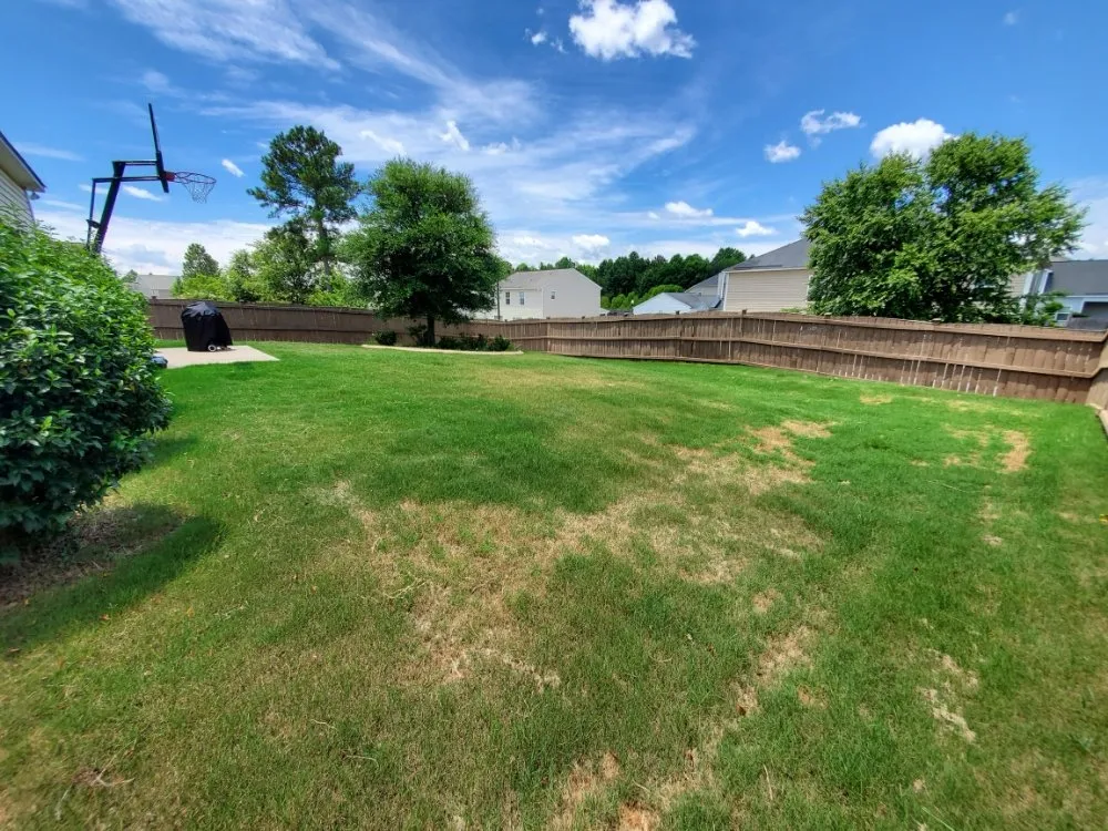 Expert outdoor landscaping in Blythewood, SC by Muddy Paws Landscaping and Land Management