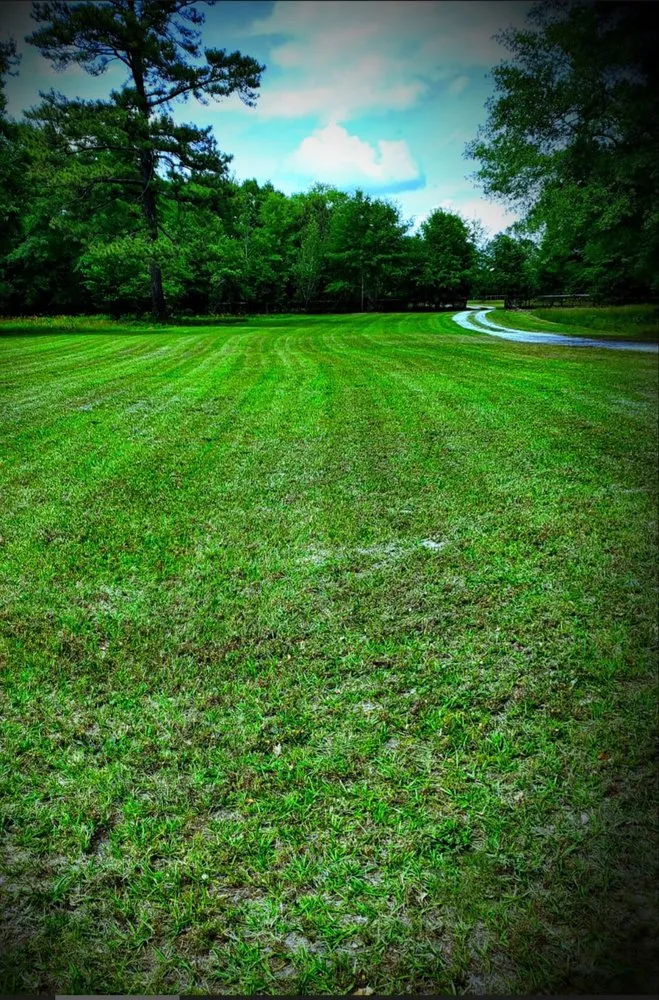 Trusted lawn care service in Blythewood, SC by Muddy Paws Landscaping and Land Management