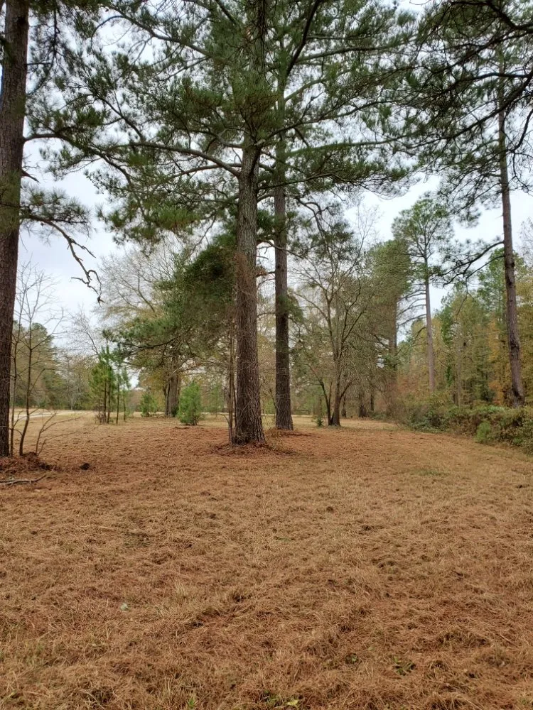 Professional yard maintenance experts serving Blythewood, SC - Muddy Paws Landscaping and Land Management