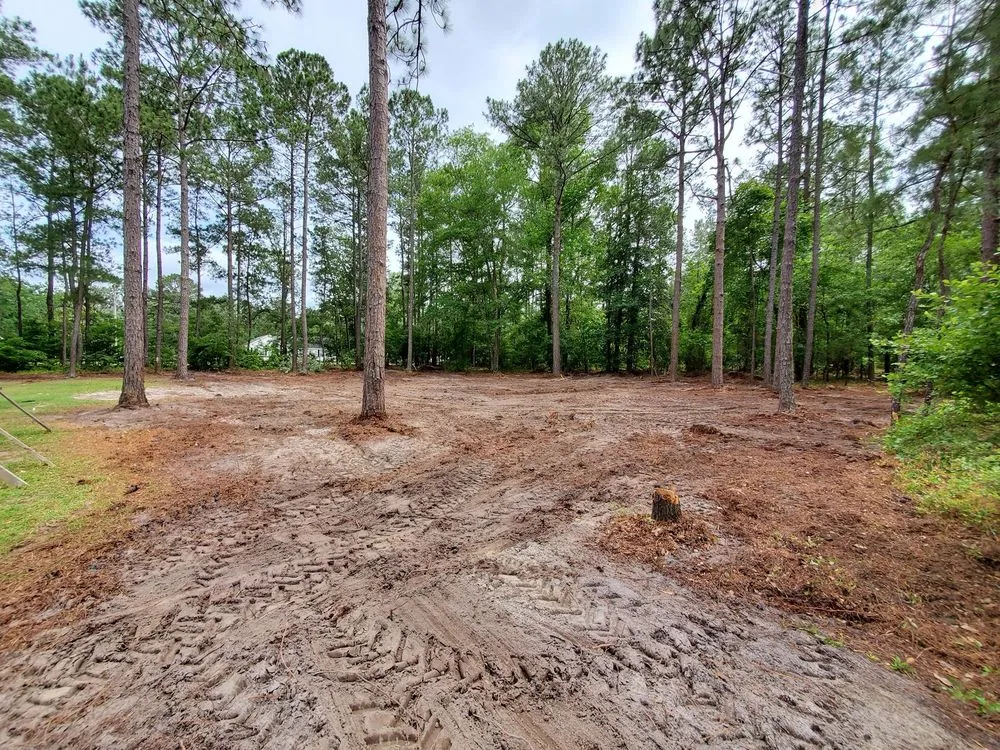 Trusted yard maintenance in Blythewood, SC by Muddy Paws Landscaping and Land Management
