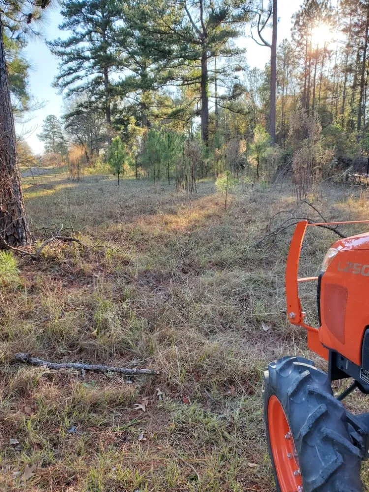 Reliable residential landscaping for beautiful yards in Blythewood, SC by Muddy Paws Landscaping and Land Management