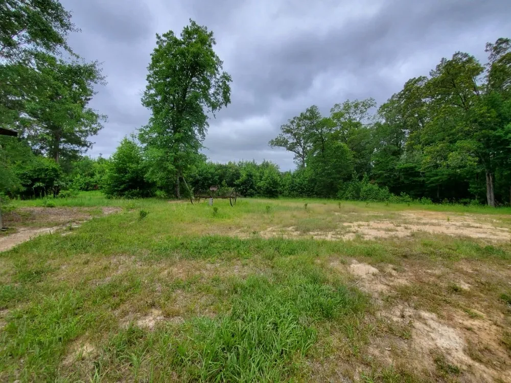 Local lawn care service for beautiful yards in Blythewood, SC by Muddy Paws Landscaping and Land Management