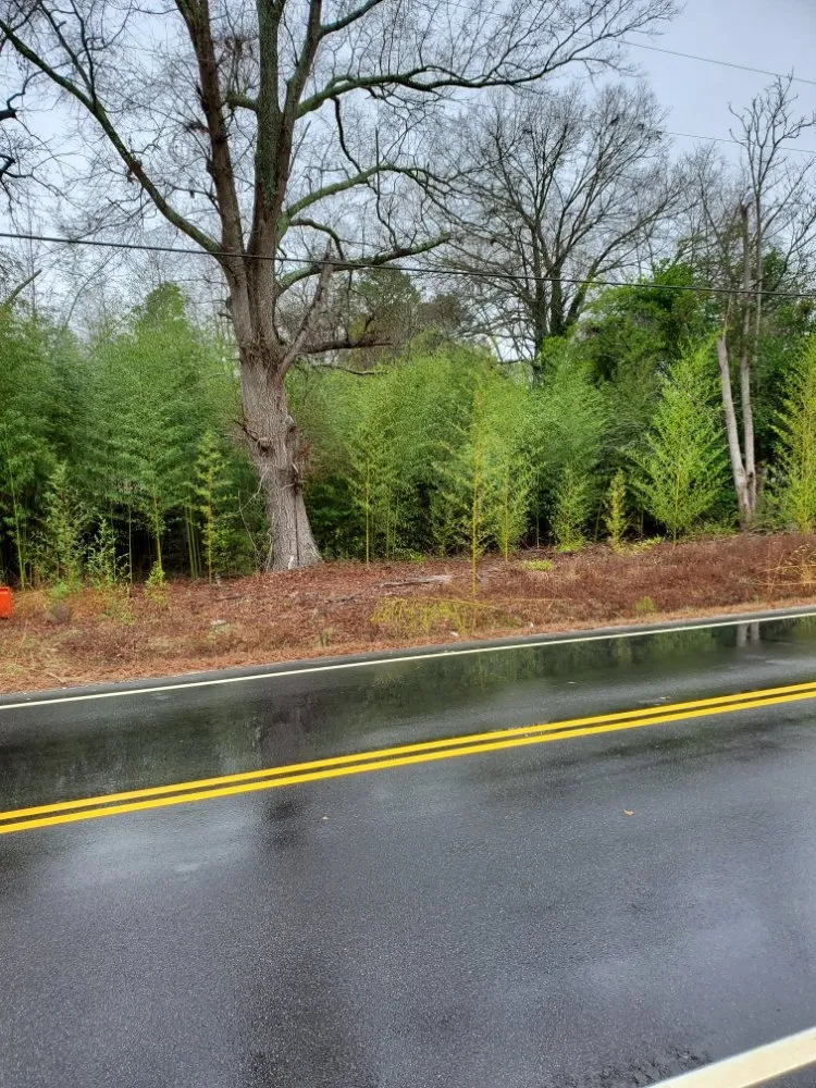 Top-rated outdoor landscaping in Blythewood, SC - Muddy Paws Landscaping and Land Management