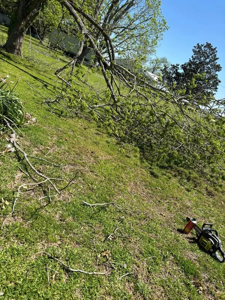 Reliable garden landscaping experts serving New Iberia, LA - Muddy Waterfowl Property Maintenance