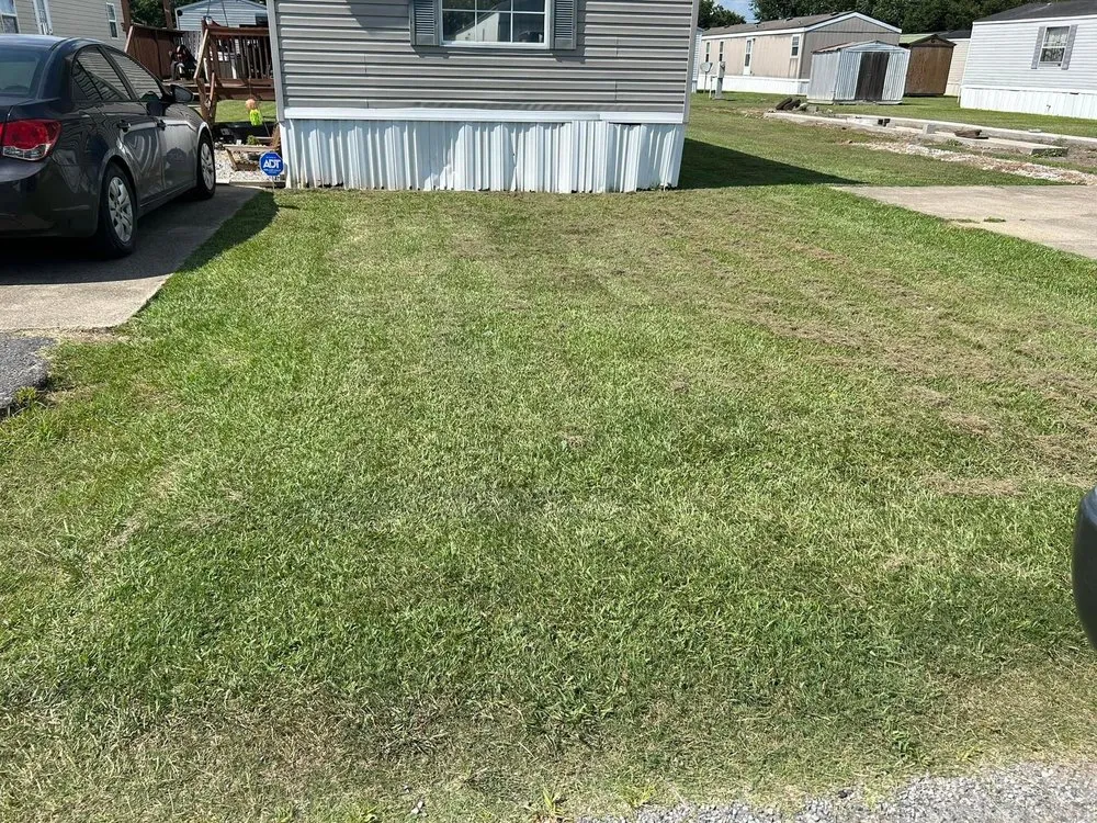 Custom outdoor landscaping for homes in New Iberia, LA by Muddy Waterfowl Property Maintenance