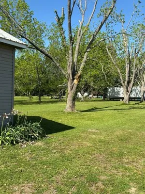 Muddy Waterfowl Property Maintenance