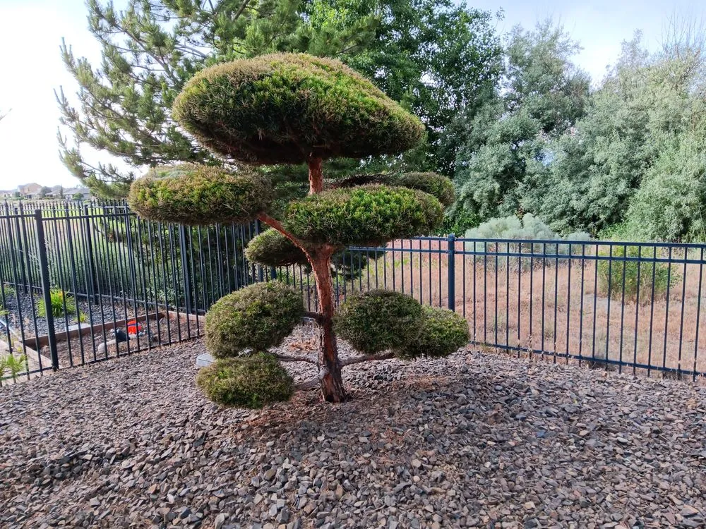 Trusted residential landscaping for beautiful yards in Kennewick, WA by MudHound Landscaping