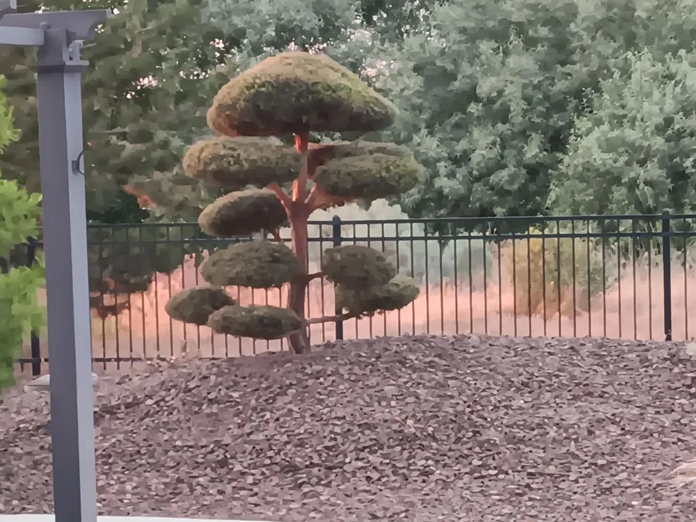 Professional landscape design experts serving Kennewick, WA - MudHound Landscaping