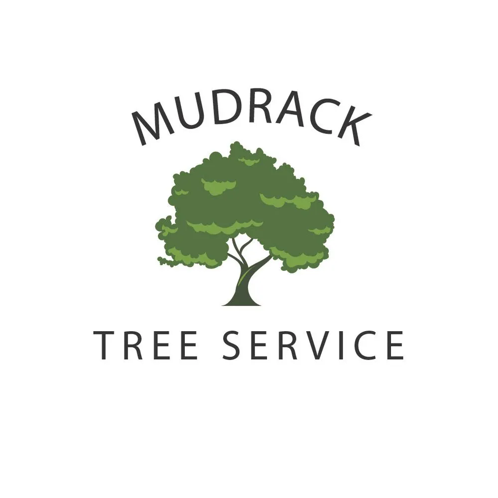 Affordable yard cleanup service in Fort Wayne, IN - Mudrack Tree Service