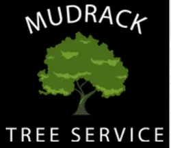 Affordable yard maintenance for residential properties across Fort Wayne, IN - Mudrack Tree Service