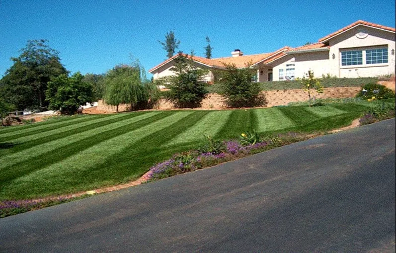 Trusted residential landscaping in Lakeside, CA by Mueller Landscape