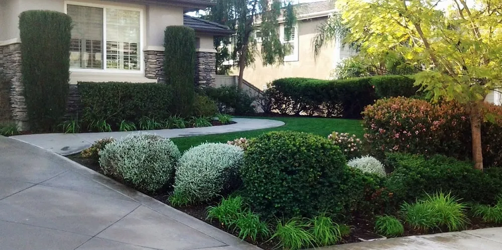 Top-rated yard maintenance in Lakeside, CA - Mueller Landscape