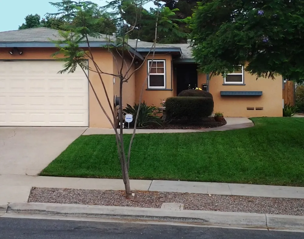 Professional yard cleanup service in Lakeside, CA by Mueller Landscape