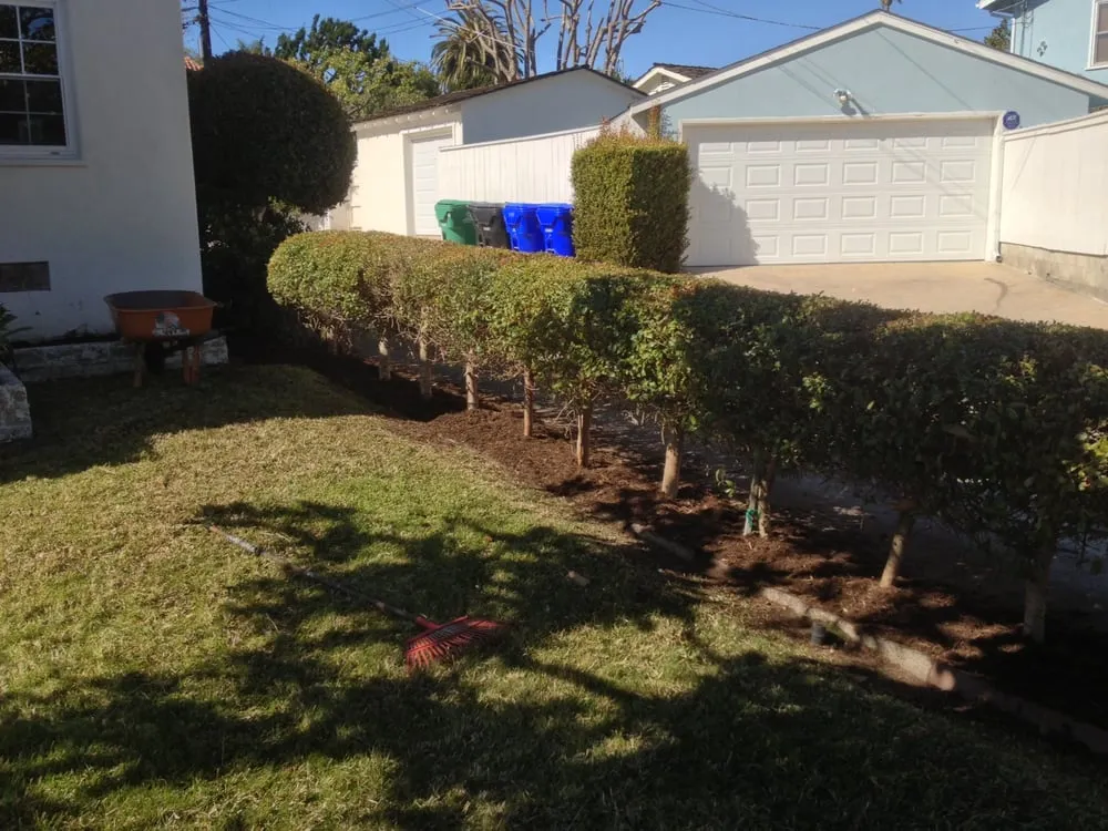 Custom residential landscaping experts serving Lakeside, CA - Mueller Landscape