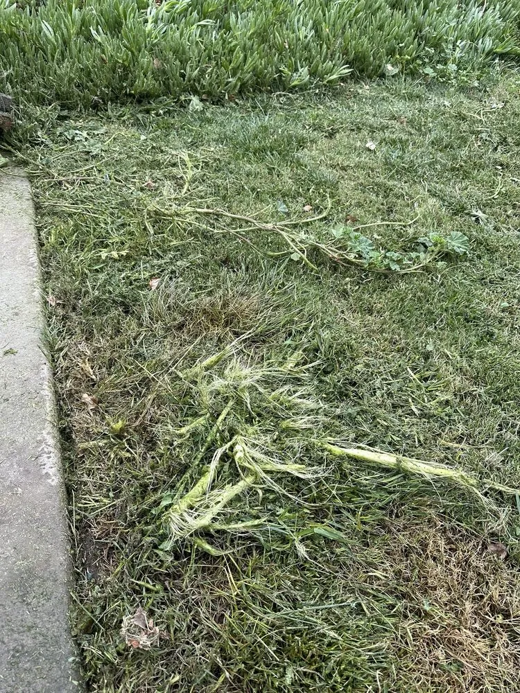 Expert outdoor landscaping in Lakeside, CA by Mueller Landscape