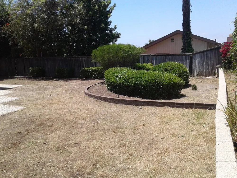 Expert yard maintenance in Lakeside, CA by Mueller Landscape