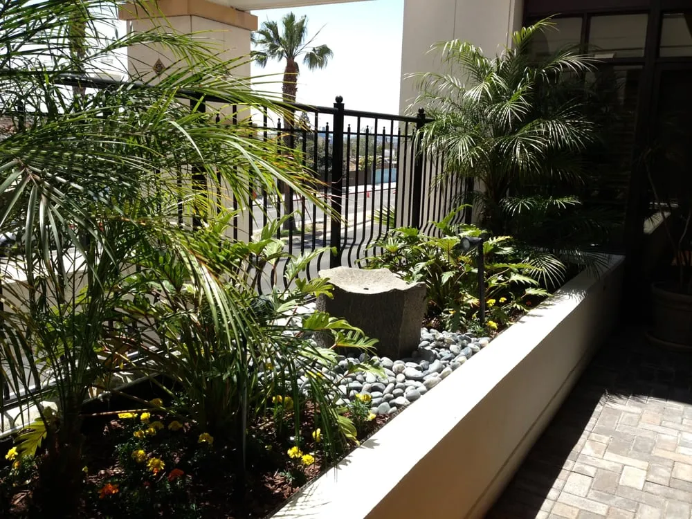 Expert landscape installation in Lakeside, CA by Mueller Landscape