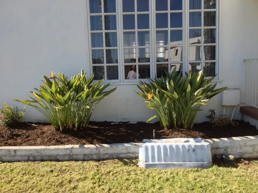 Local lawn care service in Lakeside, CA by Mueller Landscape