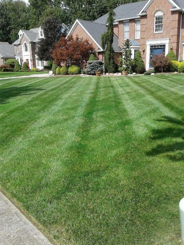 Reliable yard cleanup service for outdoor upgrades across Avon, OH - Mueller Lawncare
