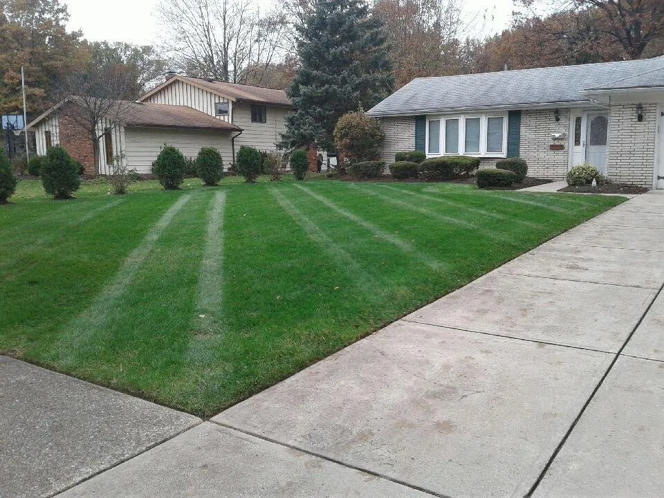 Trusted yard cleanup service in Avon, OH by Mueller Lawncare