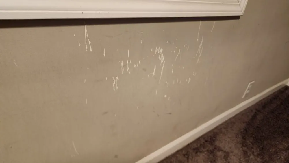 Custom landscape installation for residential properties in Wilmington, IL by Muga Lawncare