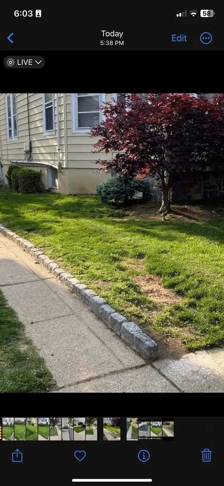 Trusted landscape design in Newark, NJ by Mughal Lawn Care