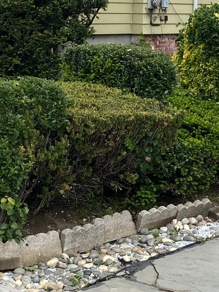 Professional outdoor landscaping experts serving Newark, NJ - Mughal Lawn Care