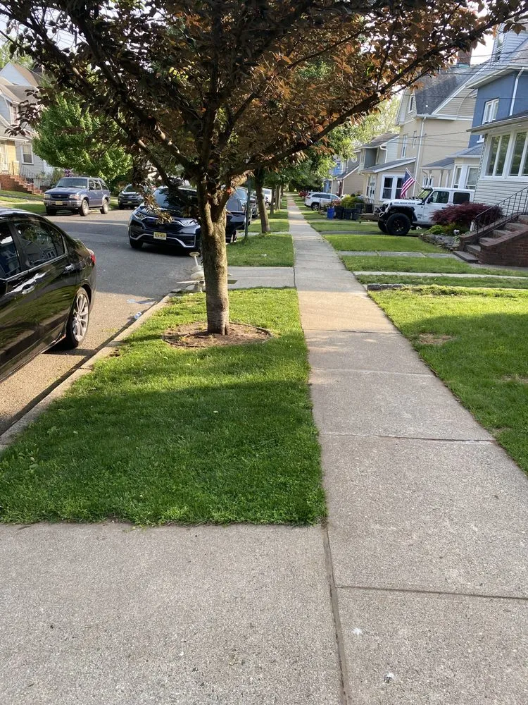 Top-rated outdoor landscaping experts serving Newark, NJ - Mughal Lawn Care