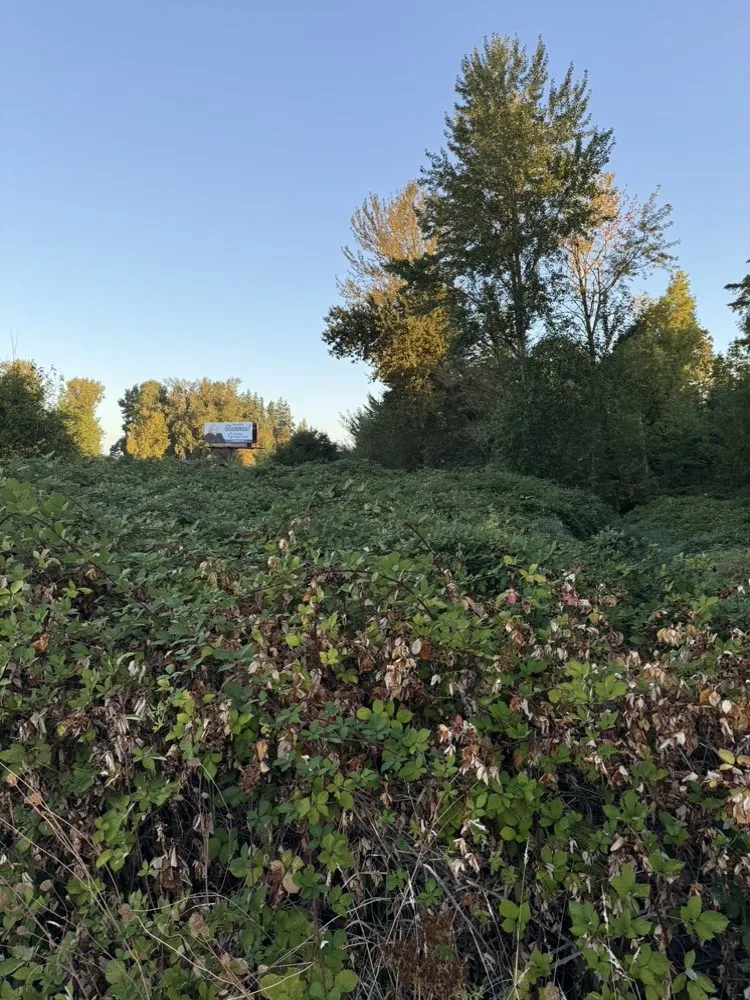 Trusted outdoor landscaping with custom design in Brooks, OR by Mulch & Mangle Land Management