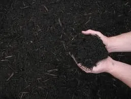 Reliable lawn mowing service in Malvern, PA - Mulch & More