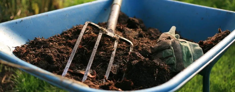 Reliable landscape design for beautiful yards across Malvern, PA - Mulch & More