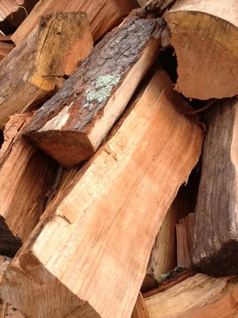 Top-rated residential landscaping for homes across Malvern, PA - Mulch & More