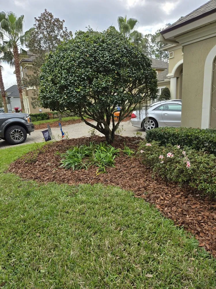 Affordable yard cleanup service in Ponte Vedra Beach, FL by Mulch & More