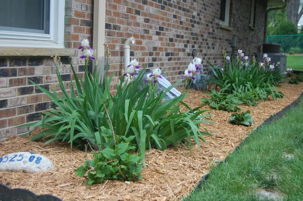 Top-rated lawn mowing service with custom design in Ponte Vedra Beach, FL by Mulch & More