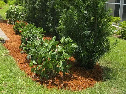 Affordable garden landscaping in Ponte Vedra Beach, FL by Mulch & More