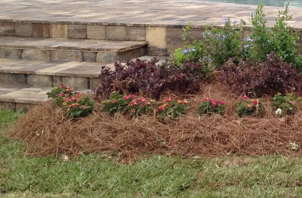 Top-rated yard maintenance in Ponte Vedra Beach, FL - Mulch & More