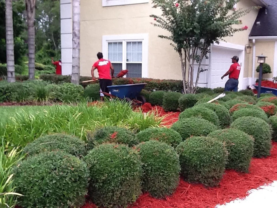 Affordable yard maintenance for beautiful yards in Ponte Vedra Beach, FL by Mulch & More
