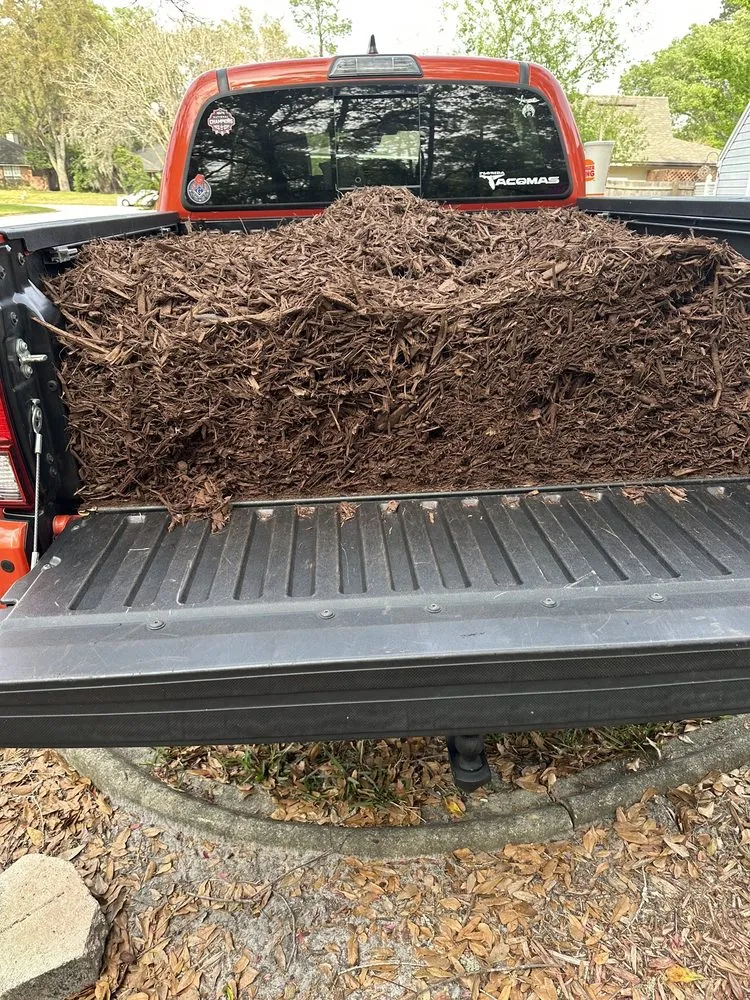 Custom residential landscaping experts serving Ponte Vedra Beach, FL - Mulch & More