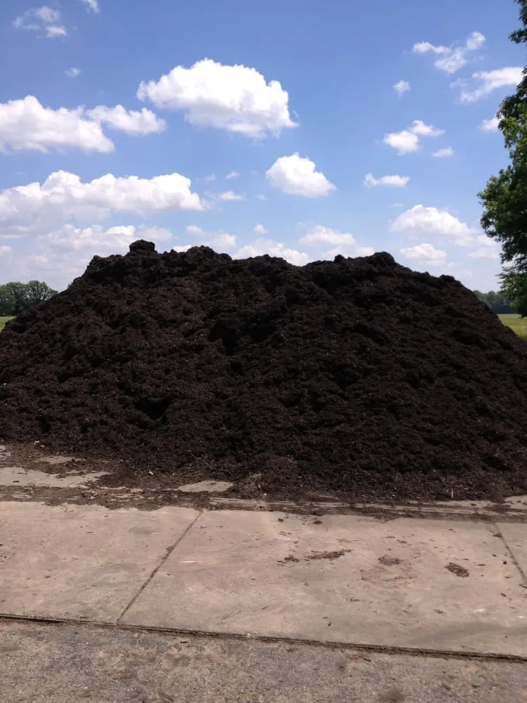 Professional lawn mowing service for outdoor upgrades across Terre Haute, IN - Mulch America