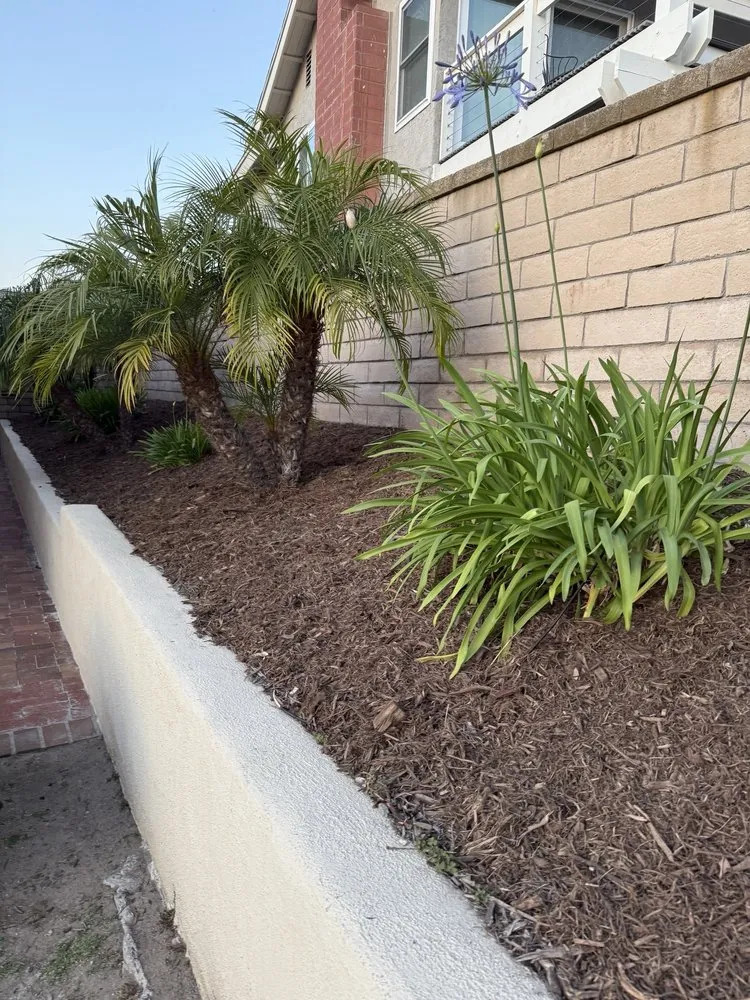 Reliable landscaping services in Covina, CA by Mulch And Landscaping Design
