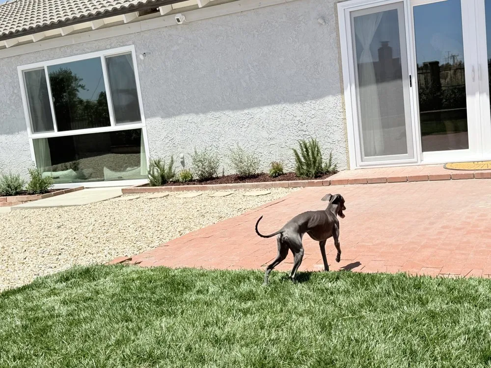 Expert lawn care service for year-round maintenance in Covina, CA by Mulch And Landscaping Design