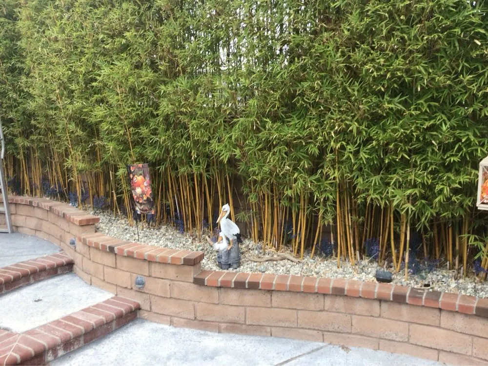 Trusted landscape installation in Covina, CA - Mulch And Landscaping Design