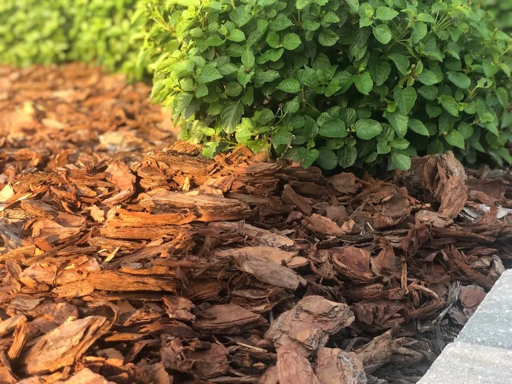 Local landscape design near you in McDonough, GA by Mulch Better