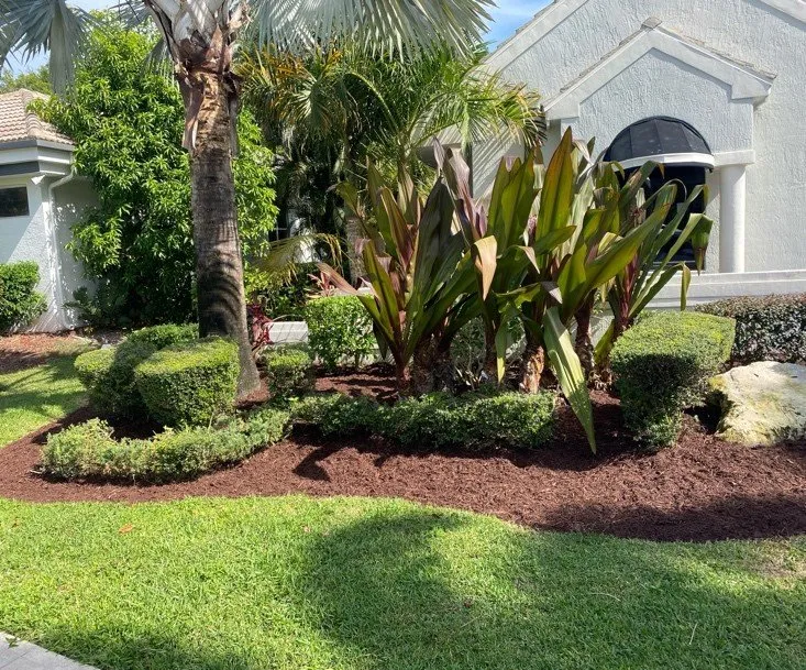 Top-rated landscape design in Boca Raton, FL by Mulch By Caleb