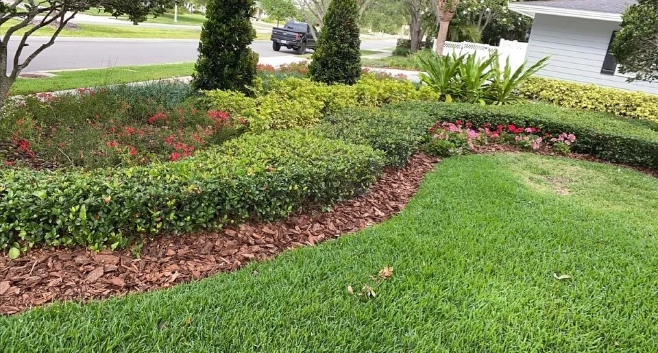 Reliable yard maintenance for beautiful yards in Boca Raton, FL by Mulch By Caleb