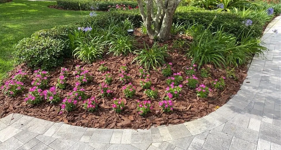 Custom outdoor landscaping in Boca Raton, FL - Mulch By Caleb