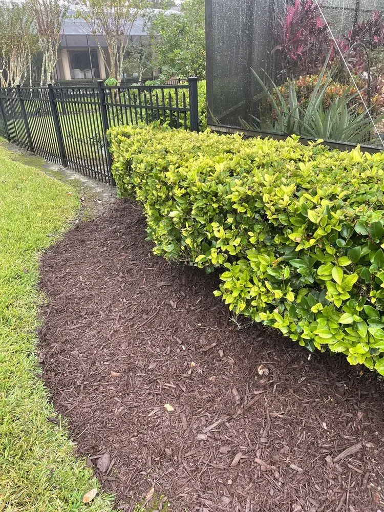 Local landscaping services experts serving Longwood, FL - Mulch For You