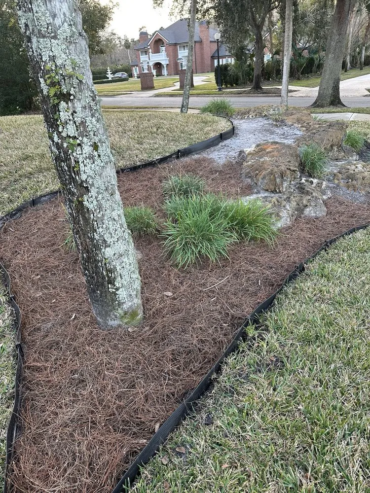 Reliable outdoor landscaping near you across Oviedo, FL - Mulch For You