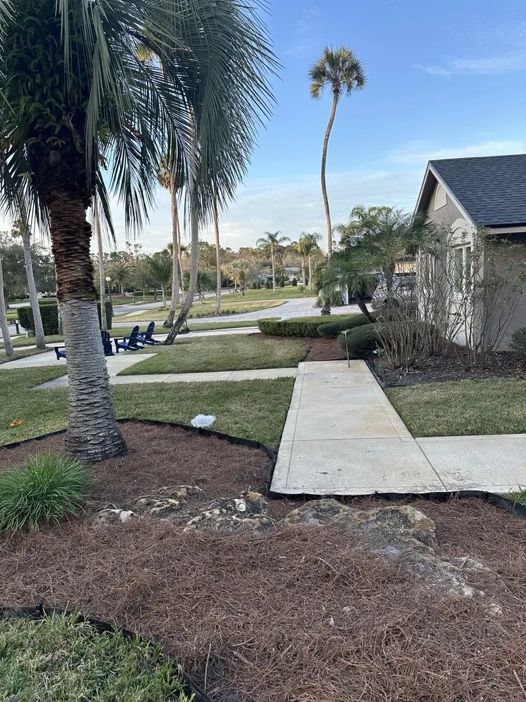 Custom yard cleanup service for beautiful yards in Oviedo, FL by Mulch For You